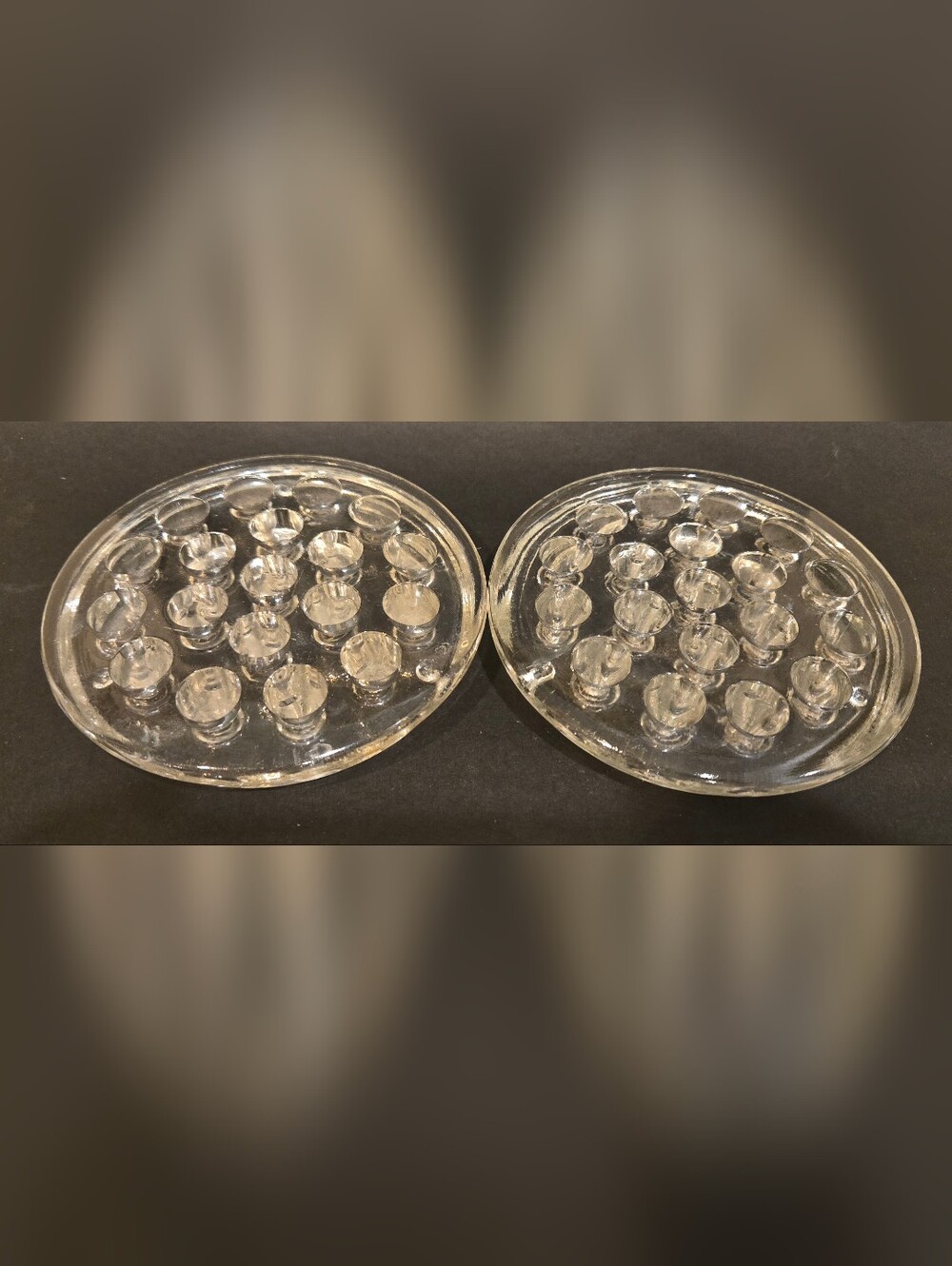 Clear Glass Flower Frog Pin Holders - Set of 2